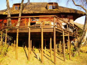 Fish Eagle Log Cabin